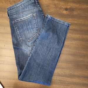 GAP Dark Blue Skinny Fit Jeans